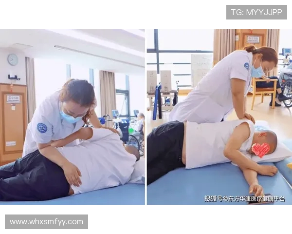 坐姿背部健身器材推荐与训练方法详解，守护脊柱健康的好帮手